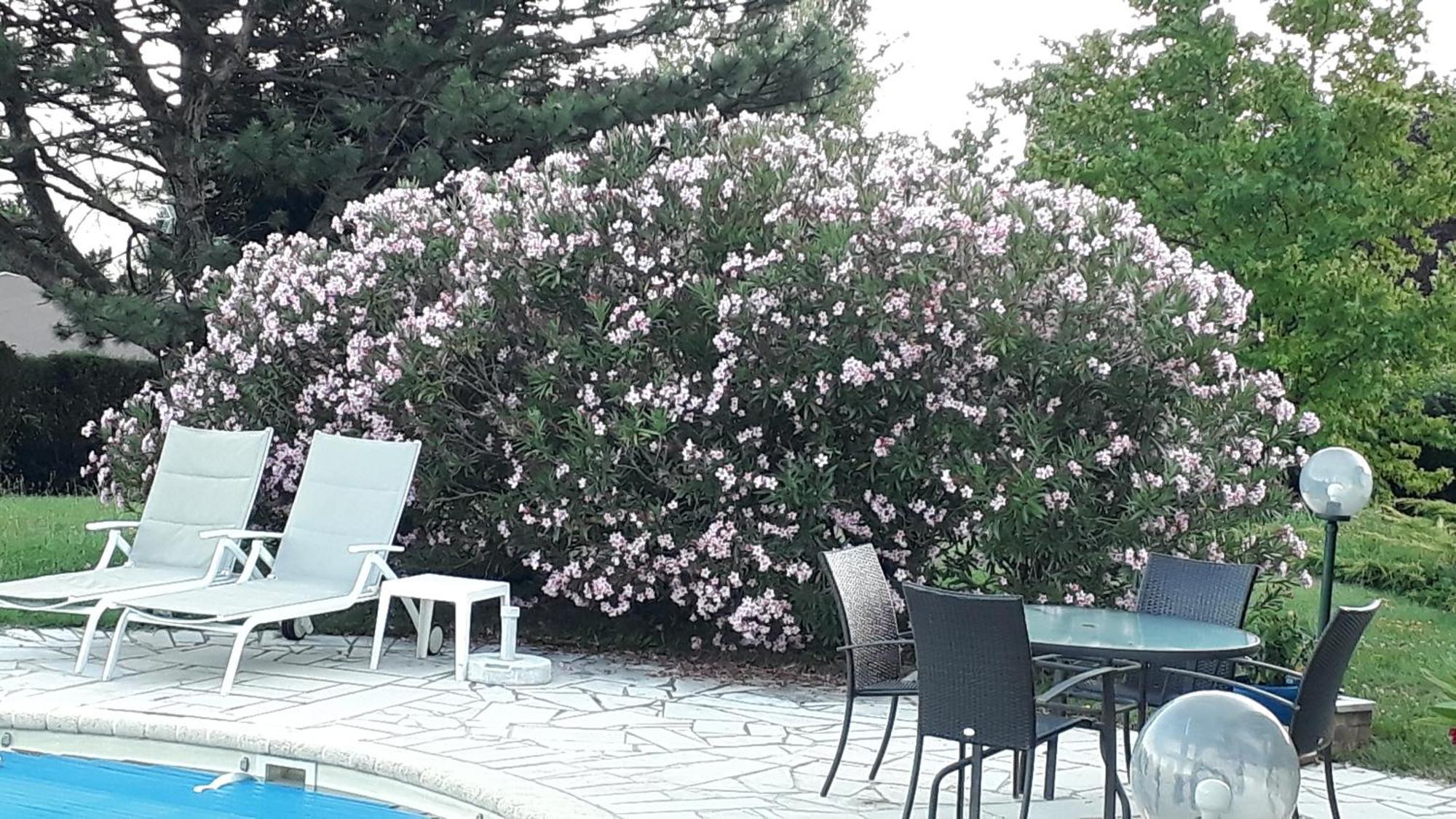 Villa Avec Vue Biviers Kültér fotó